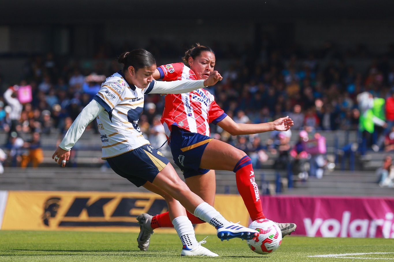 Pumas MX Femenil