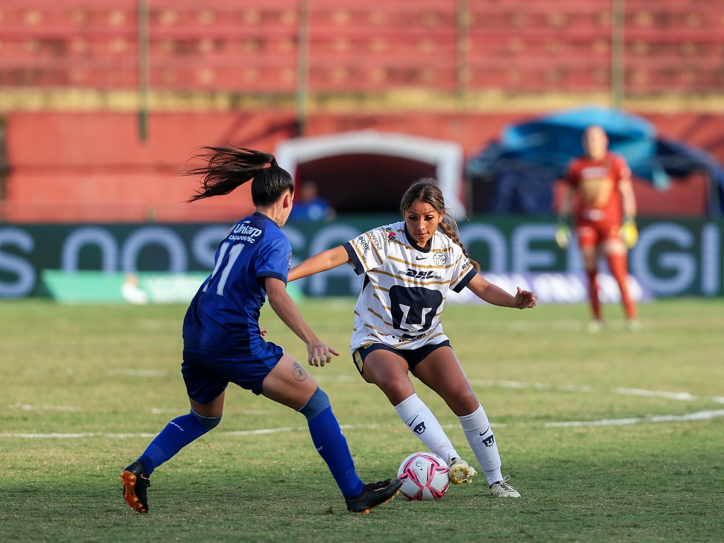 Pumas MX Femenil